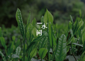 大连极简品牌设计有限公司