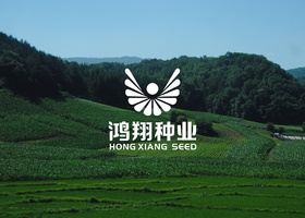 东莞市迪欧品牌设计有限公司