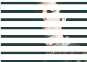 11.gif