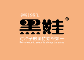 贵州热石设计有限公司