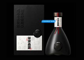 提案并确定设计风格