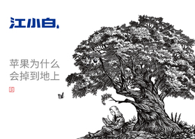 微小的图案更能揭示里面的东西