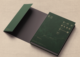东莞世良品牌设计有限公司