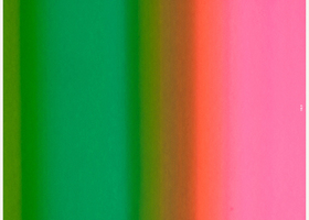8.jpeg