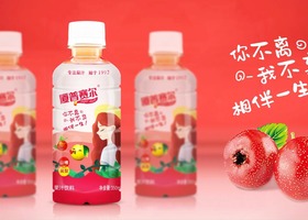 哈尔滨晋晟品牌设计有限公司