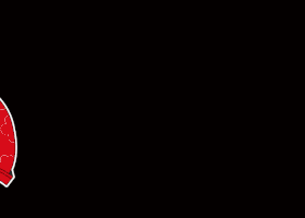 9.gif