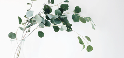 故事为导向的包装