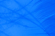 酒店品牌vi设计中标准色就该这样确立！