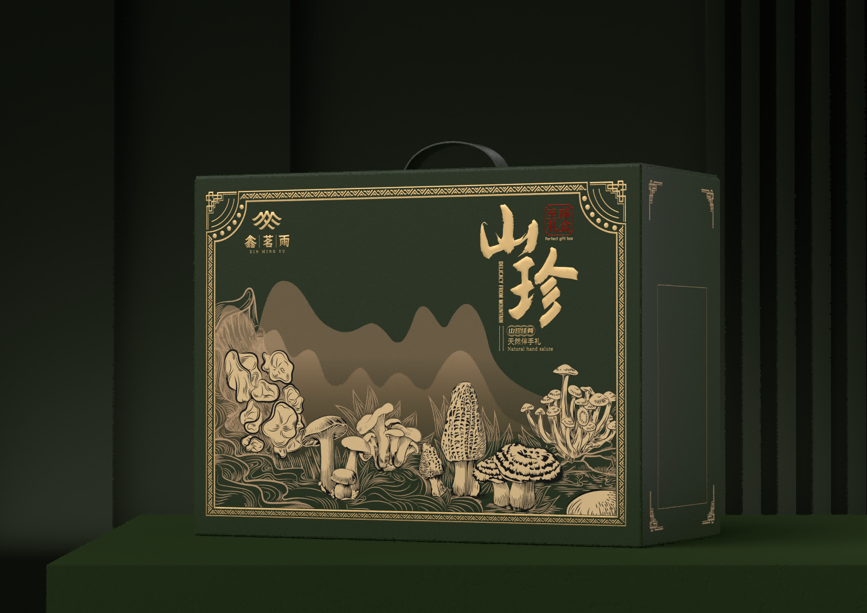 tgdlh ivb a a 1(1)(1).png