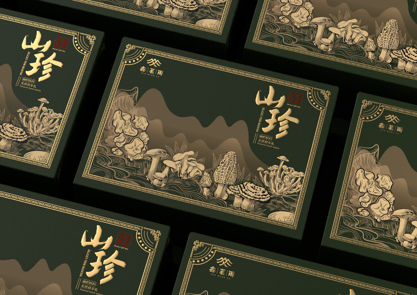 tgdlh ivb a b 1(1)(1).png